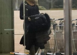 打破巴尔比,探索创新与变革的力量