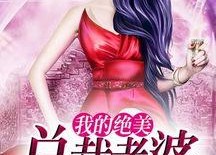 绝美总裁老婆,一段跨越身份的浪漫传奇