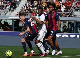 23-24赛季意甲第26轮：博洛尼亚vs维罗纳,博洛尼亚VS维罗纳战报