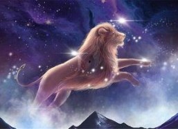 冷酷的心,揭秘人性深处的冷漠与孤独