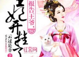 报告王爷王妃她又开挂了,她再次开启无敌模式