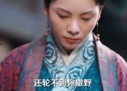 重回皇帝遇刺时我以身挡剑,刺杀危机中的英勇瞬间